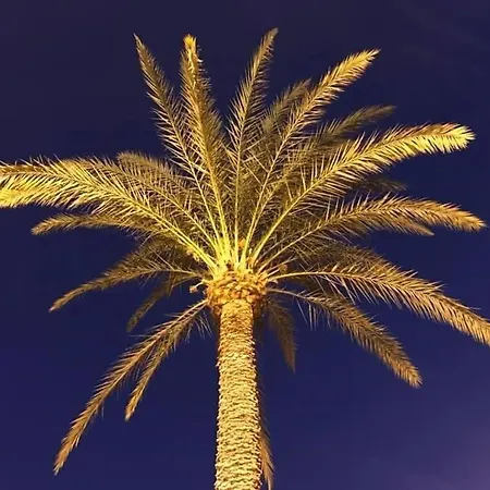 Stunning In Old Town, Centre & * Alicante